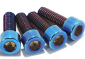 titanium caliper bolts