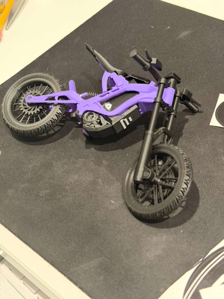 Eride Pro SS model